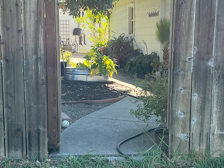 Gate from park to backyard