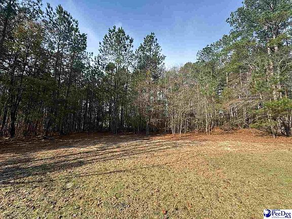 4th image of Willie Lear Rd