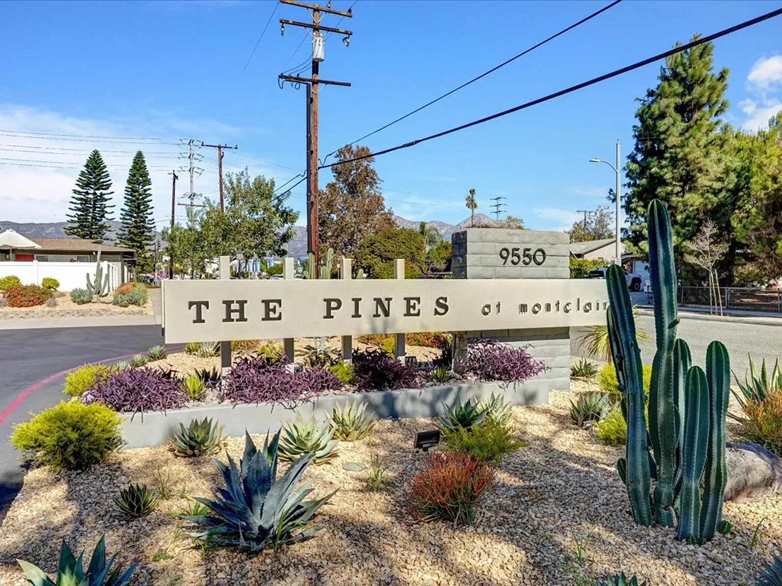 The Pines Apartments — Photo 2