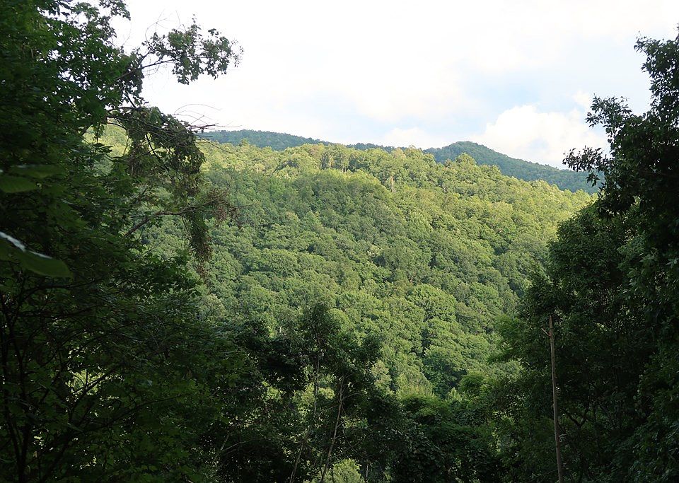 2nd image of 38 High Springs Rd