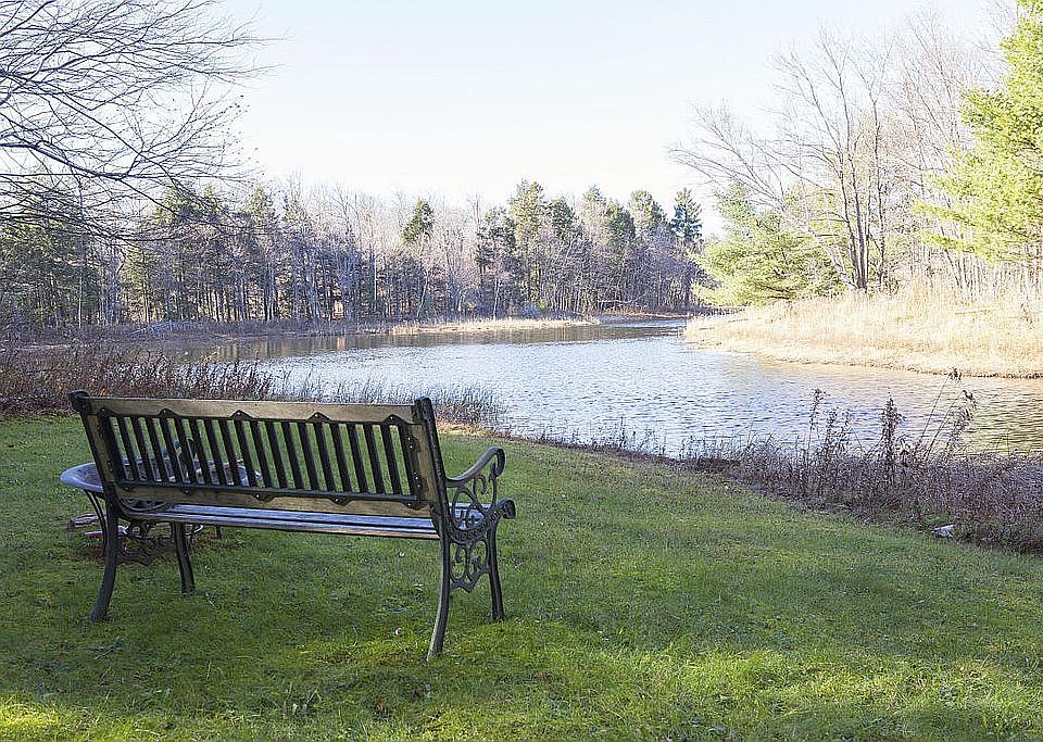 Private cove on the lake