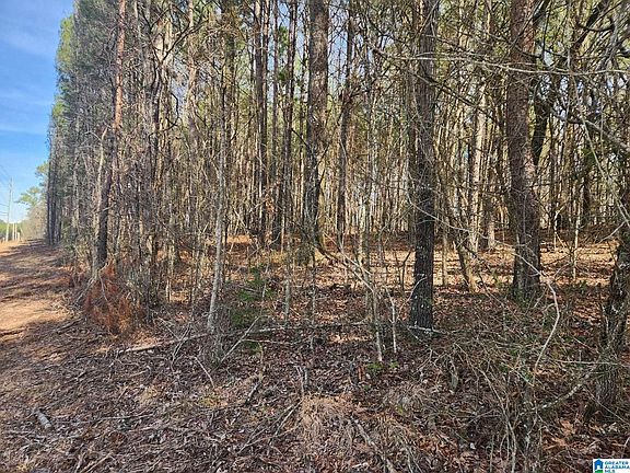 2nd image of 0 State Highway 79