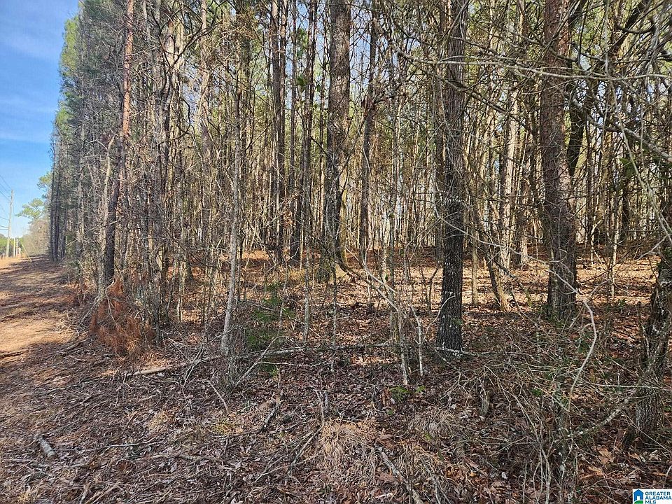 2nd image of 0 State Highway 79