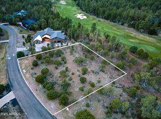 3480 W Sage Ln #255, Show Low, AZ 85901