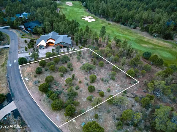 3480 W SAGE Lane #255, Show Low, AZ 85901