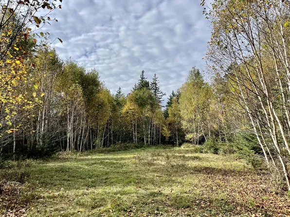 1192 Cape Rosier Road, Brooksville, ME 04617