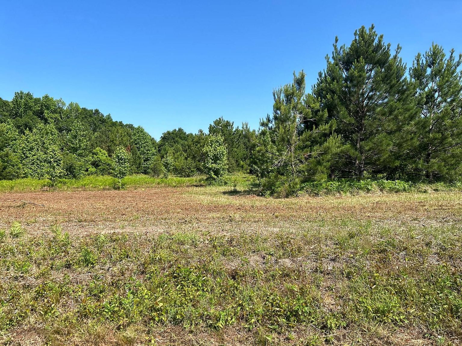 19203 Andalusia Hwy 3, Dozier, AL 36028 MLS 11281575 Zillow