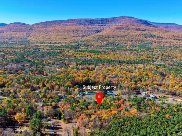 TBD Route 32, Catskill, NY 12414