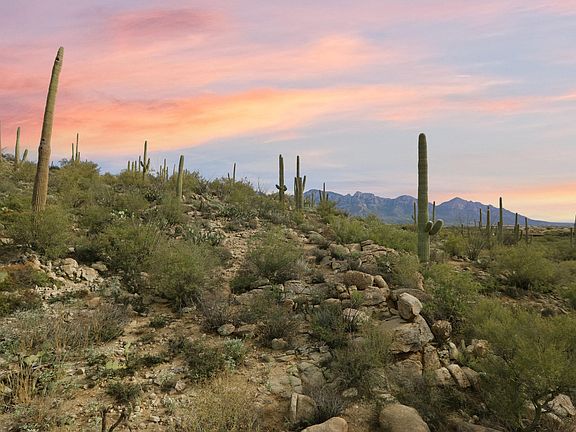 3rd image of 1805 Tortolita Mountain Cir #500