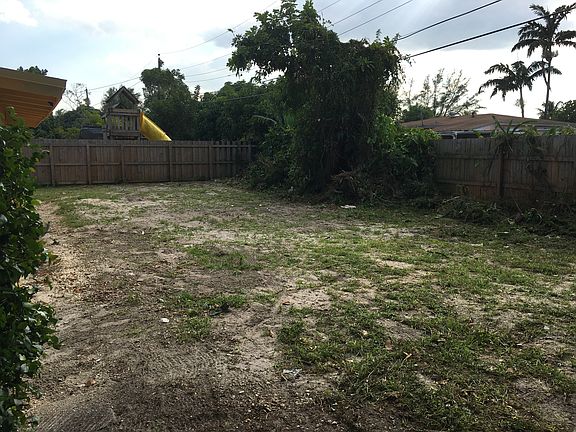 Back yard