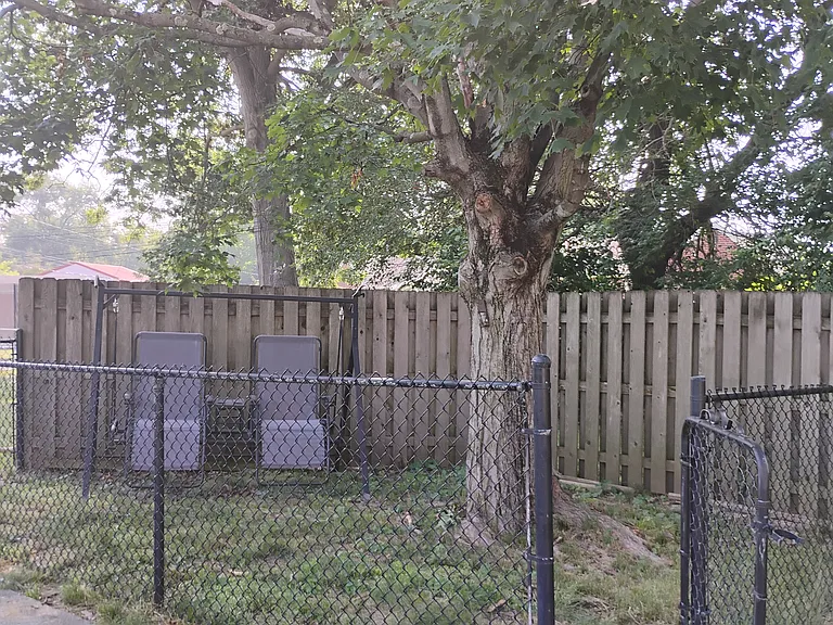 Fenced-in swing