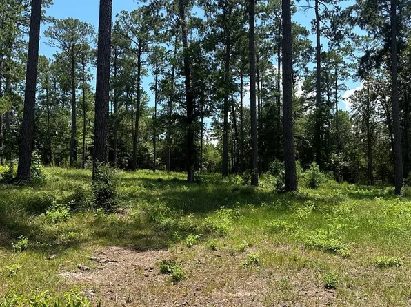 LOT 2 Private Road 6028, Brookeland, TX 75931