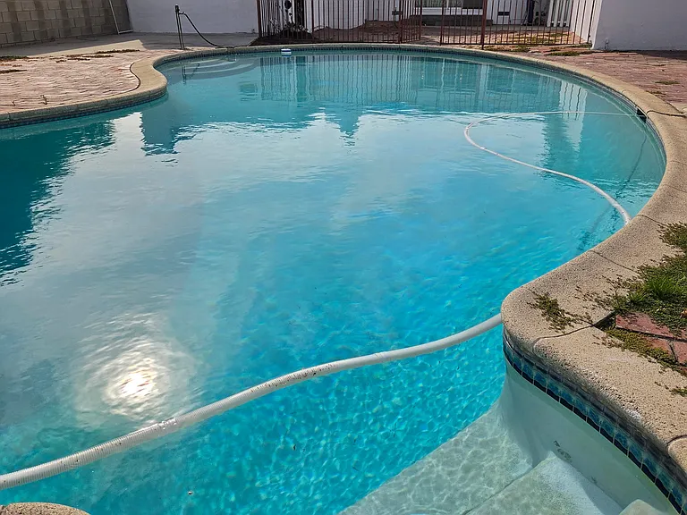 Back Pool with gate
