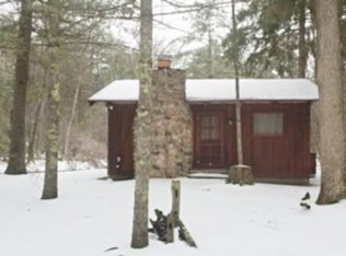 9538 S James Rd, Baldwin, MI 49304