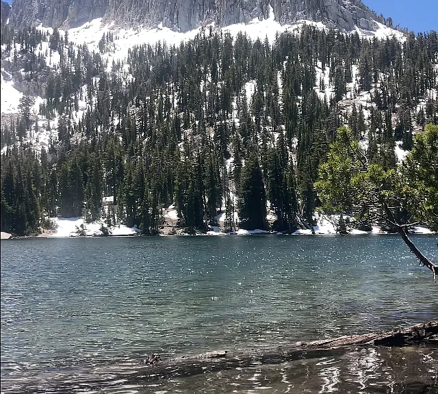 Lake Mcleod 1/2 mile up from Horseshoe Lake