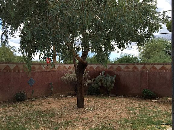 back yard