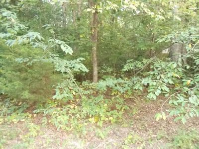 Retreat Dr, Crossville, TN, 38572