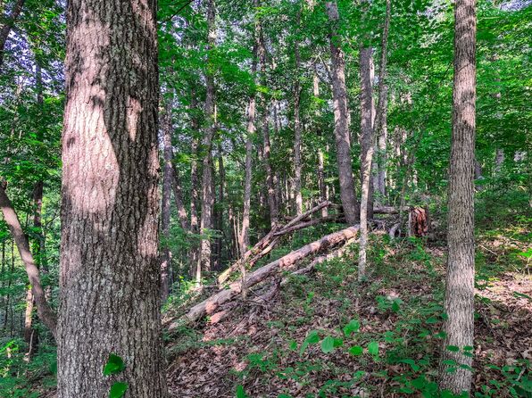 Leatherbark Rd LOT WP001, Smithville, WV 26178