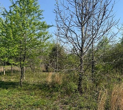 3rd image of 185 Scott Orchard Rd Lot 1-3
