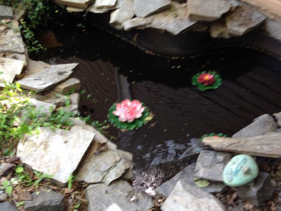Pond with water feature