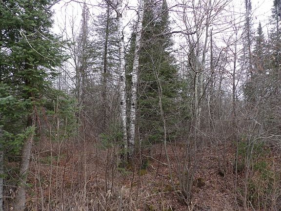 3rd image of 40 Acres Off Knapp Road