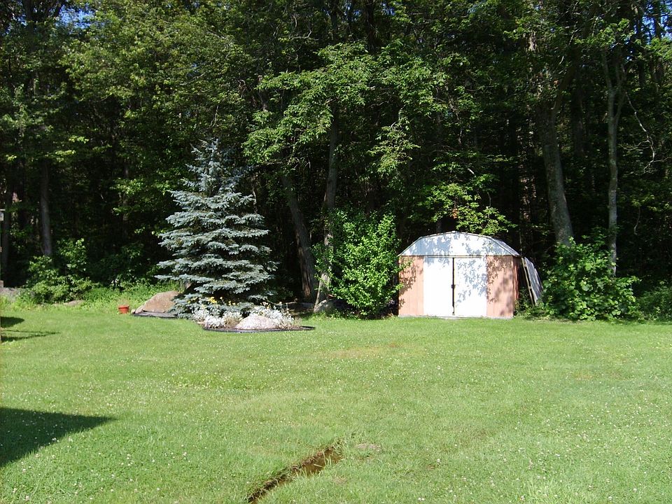 back yard