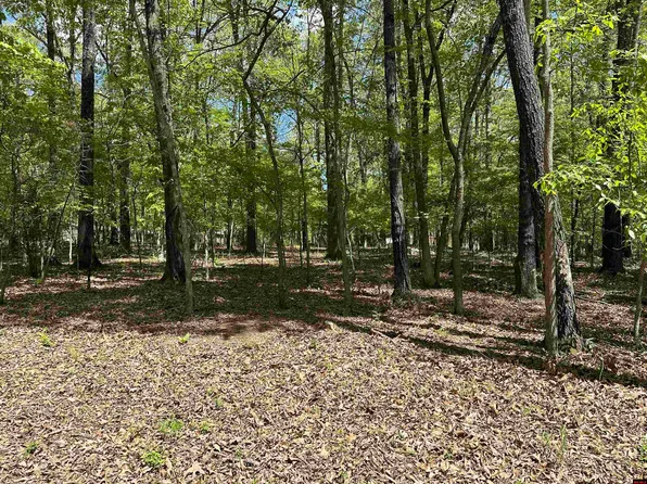 002-05190-000 Flintridge Pl, Mountain Home, AR 72653