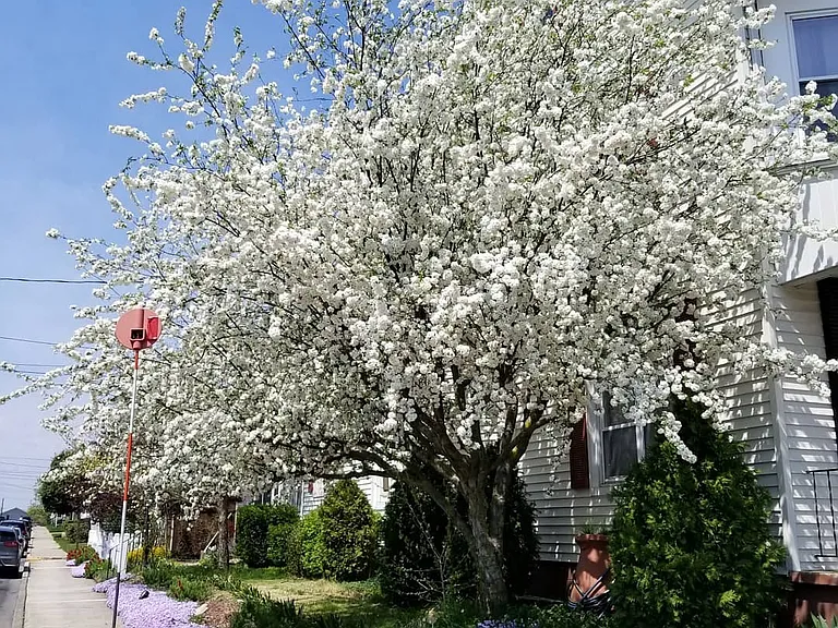 437 Elm St — Photo 1