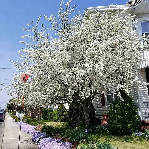 437 Elm St Photo 1