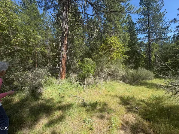 0 Kincaid Rd Lot 603, Williams, OR 97544