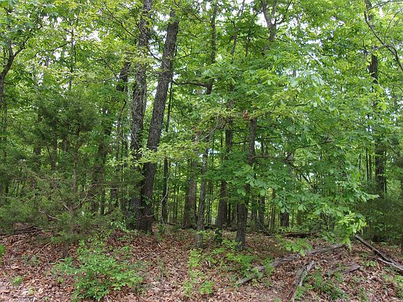 2nd image of 807 Shorecrest Dr