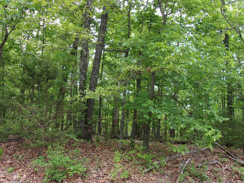 807 Shorecrest Dr, Bull Shoals, AR 72619 Zillow