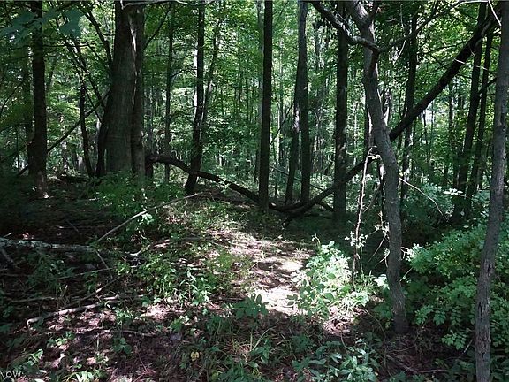 3rd image of 292 County Rd