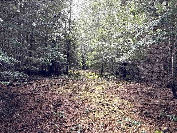 2nd image of 4828 Eagle Ridge Way