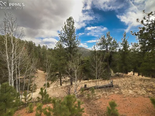1440 Pikes Peak Dr, Divide, CO 80814