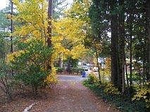 drive way