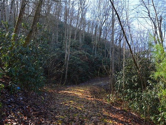 2nd image of 568 Left Fork Beech Crk