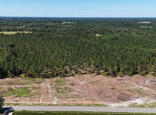 Highway 19 Tract #5, Nichols, SC 29581