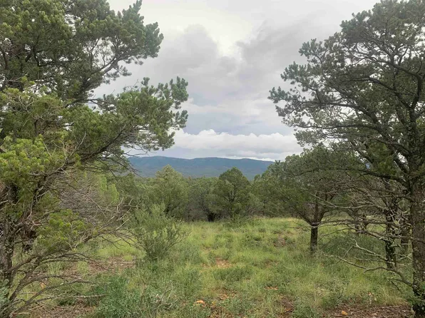 49 Norwood Dr, Timberon, NM 88350