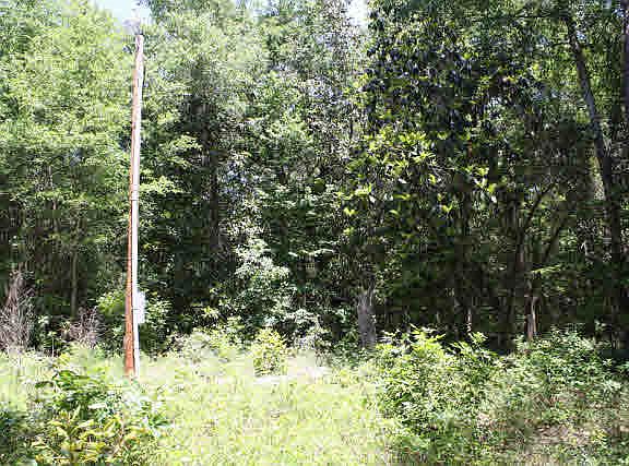 2nd image of 11720 Irene Early Ln