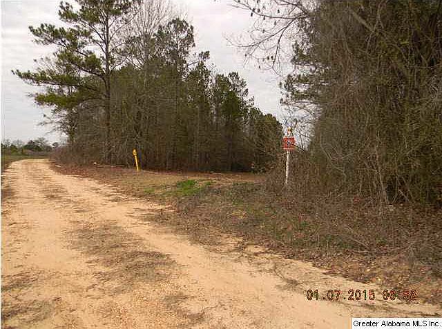 2nd image of County Road 446