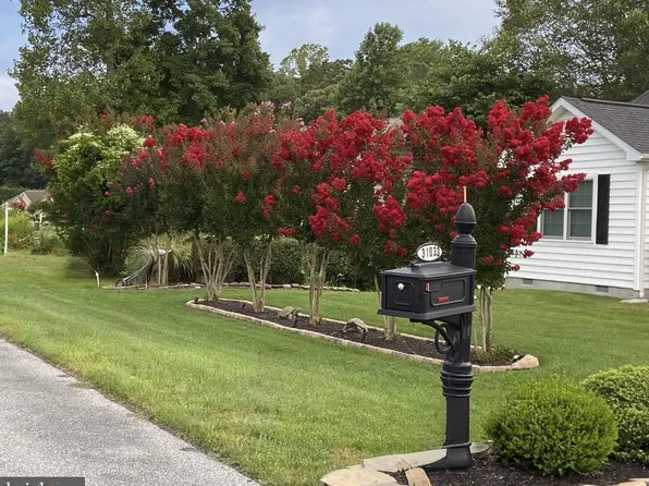 31033 Meadow Dr, Lewes, DE 19958