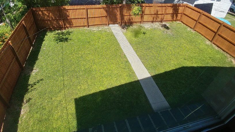 Huge pet friendly backyard with a privacy fence!