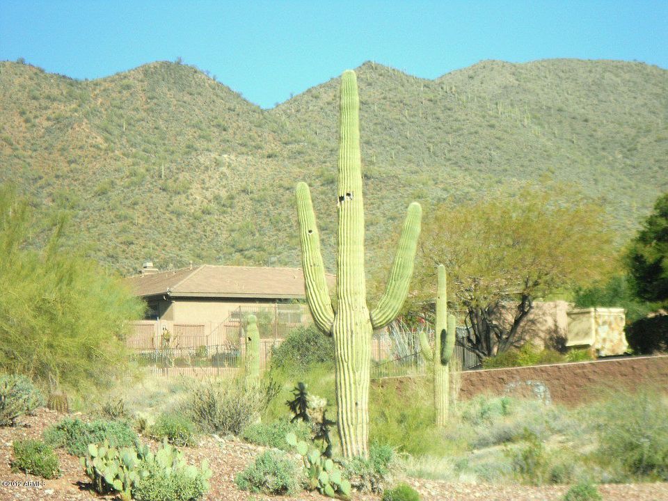 1st image of 42424 N Gavilan Peak Pkwy #903