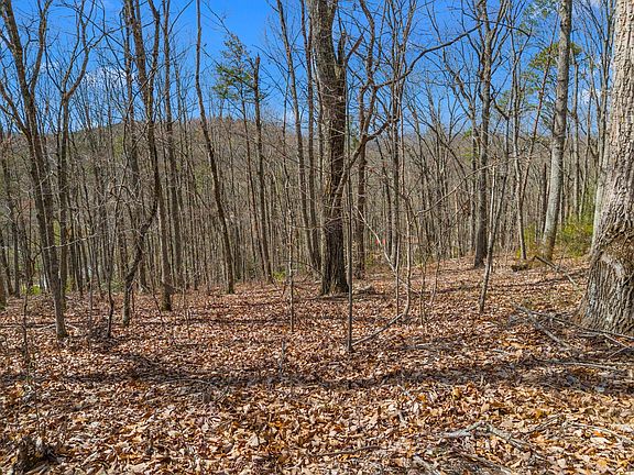 3rd image of 657 Pecan Tree Ln