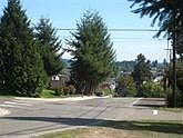 4th image of 4116 Burnham Dr