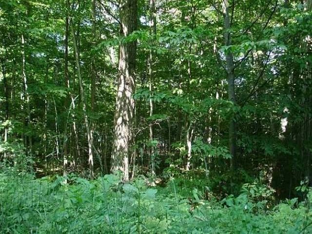 1st image of Wandering Woods Ct