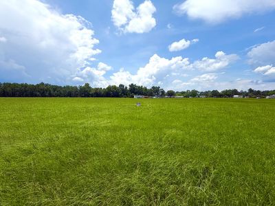 0 Alpine Trl, Willacoochee, GA, 31650