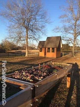 Garden shed with organic garden beds