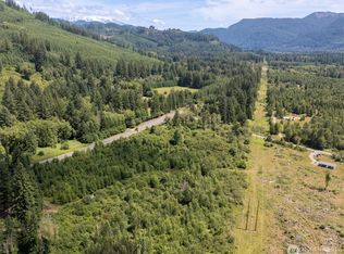 0 Lewis River Rd, Ariel, WA 98603